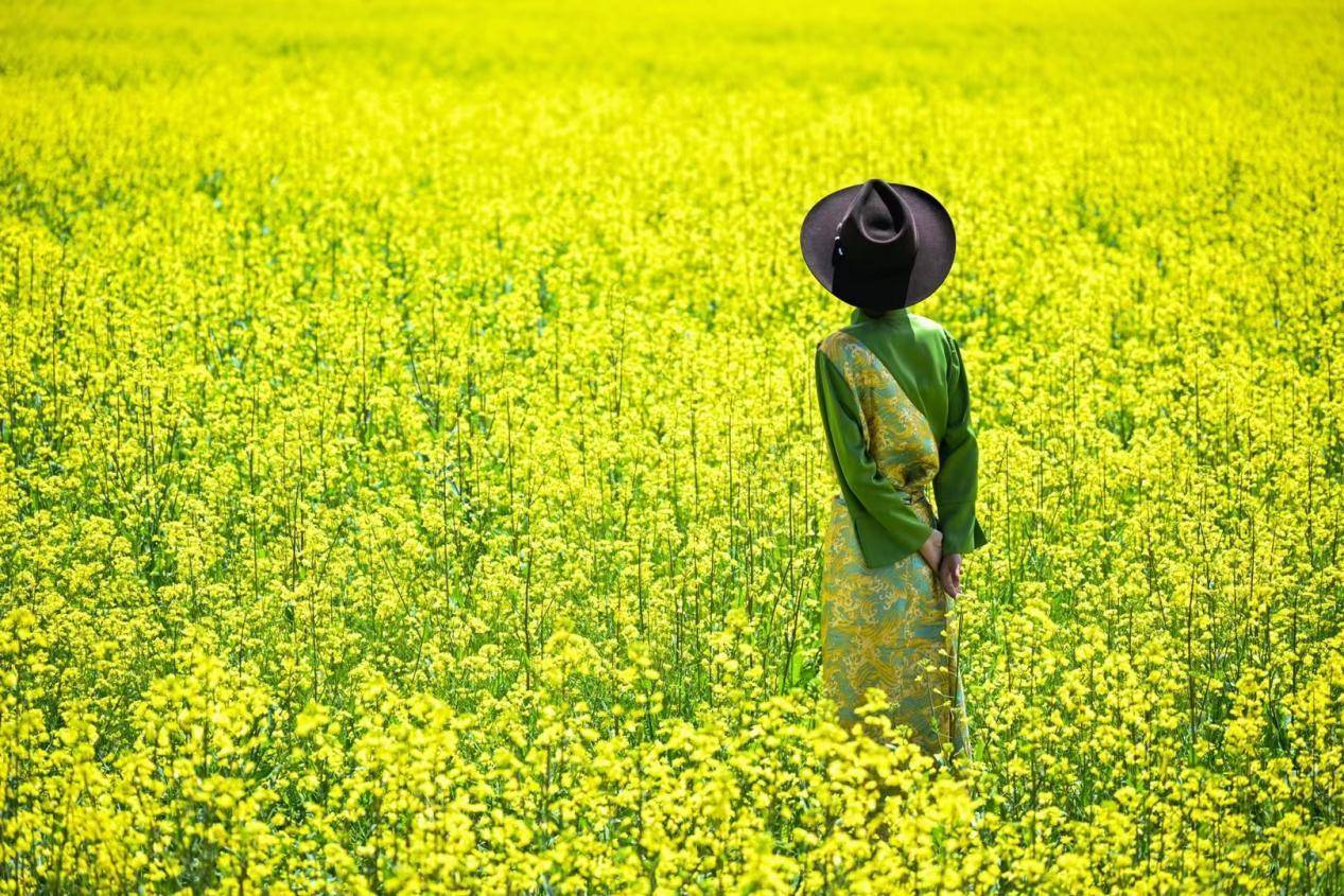 来道孚，赏万亩油菜花